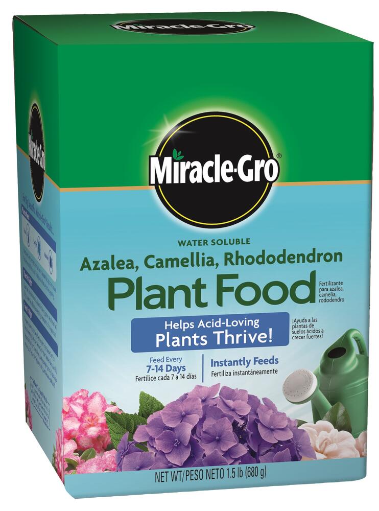 Miracle-Gro Azalea Camellia Plant Food