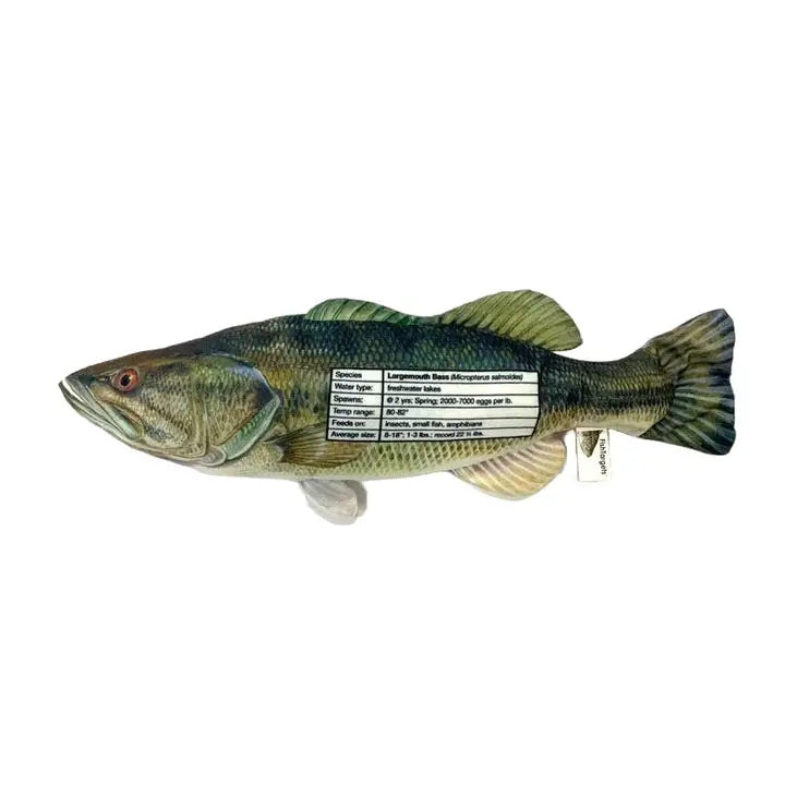 Largemouth Bass