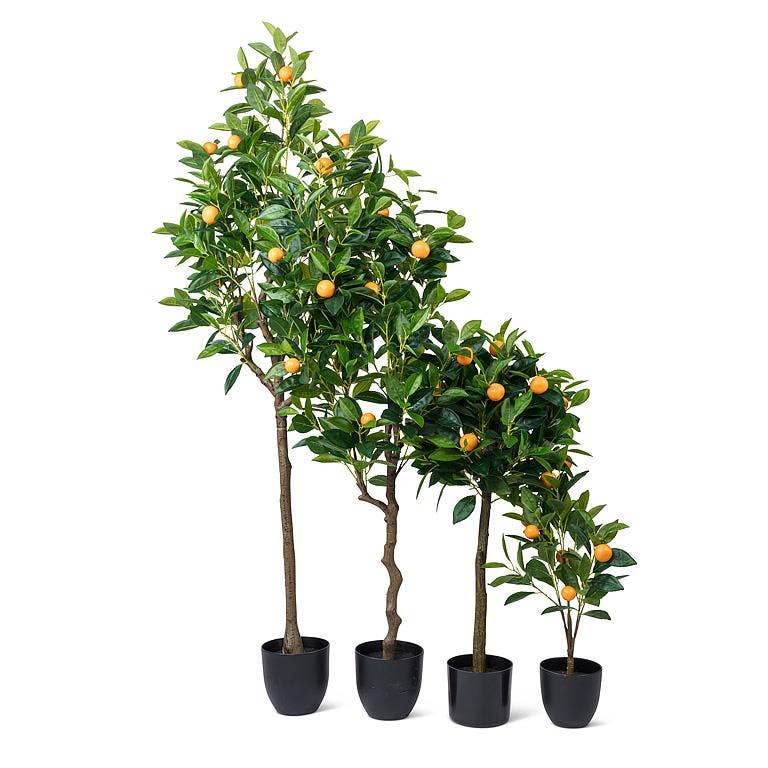 Mini Orange Tree-24"H