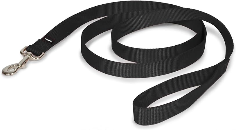 Pet Lead 6" Nylon
