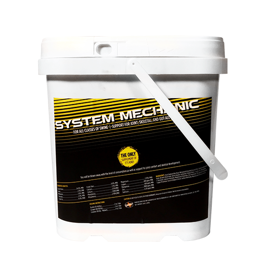 1111 Lindner System Mechanic 5lbs.