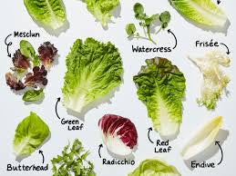 Produce Lettuce Head
