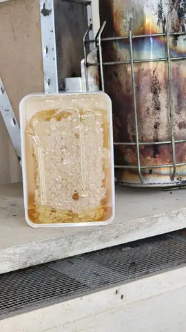 Raw Honeycomb