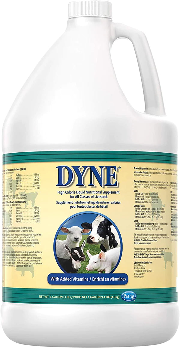 Dyne Livestock Supplement 1 gal.