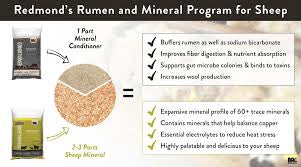 Redmond Sheep Mineral Mix 5lbs