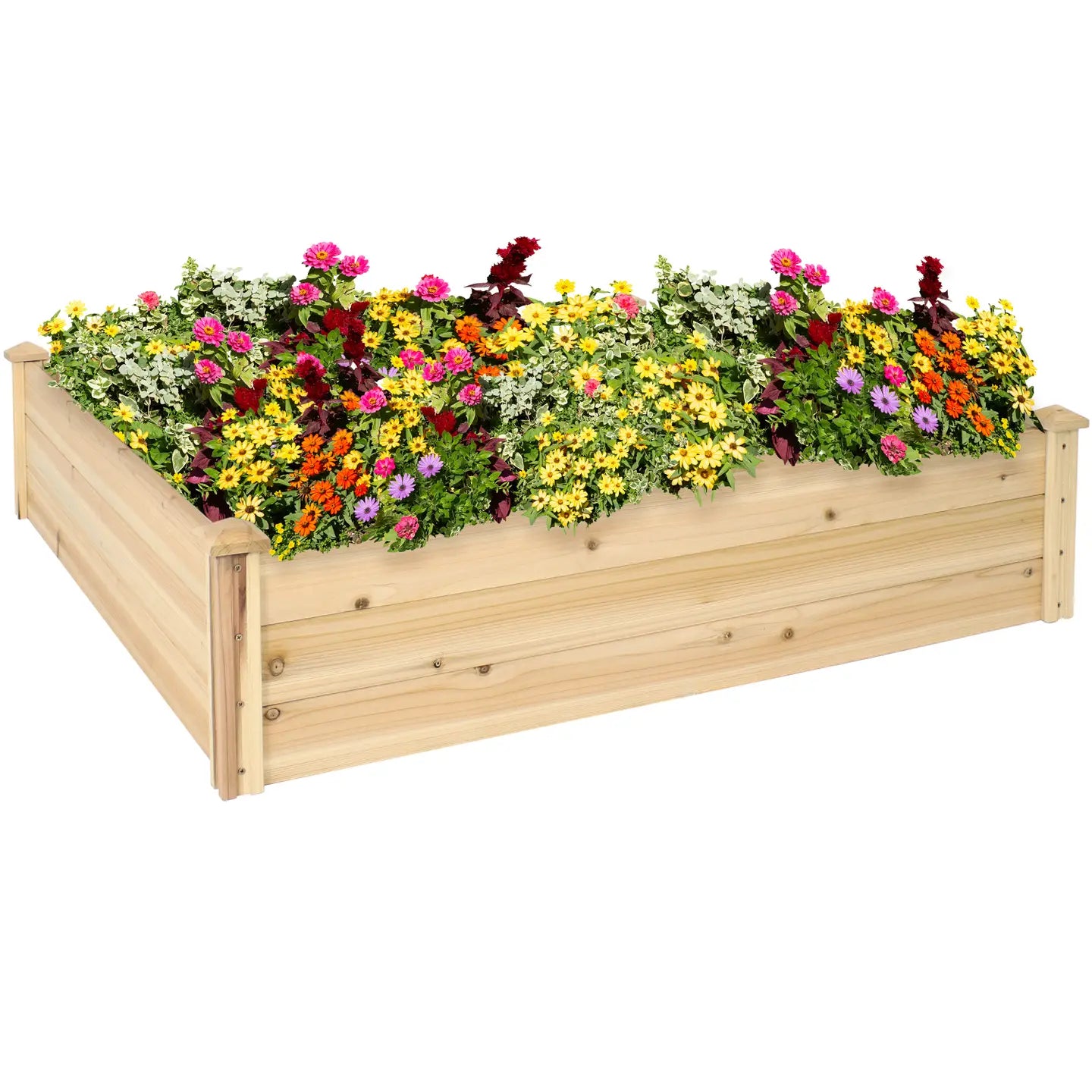 Outdoor Square Wood Raised Garden Bed - 48-Inch Square
