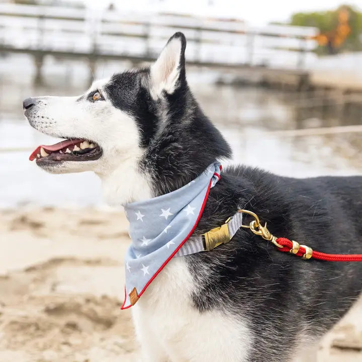 Liberty Dog Bandana