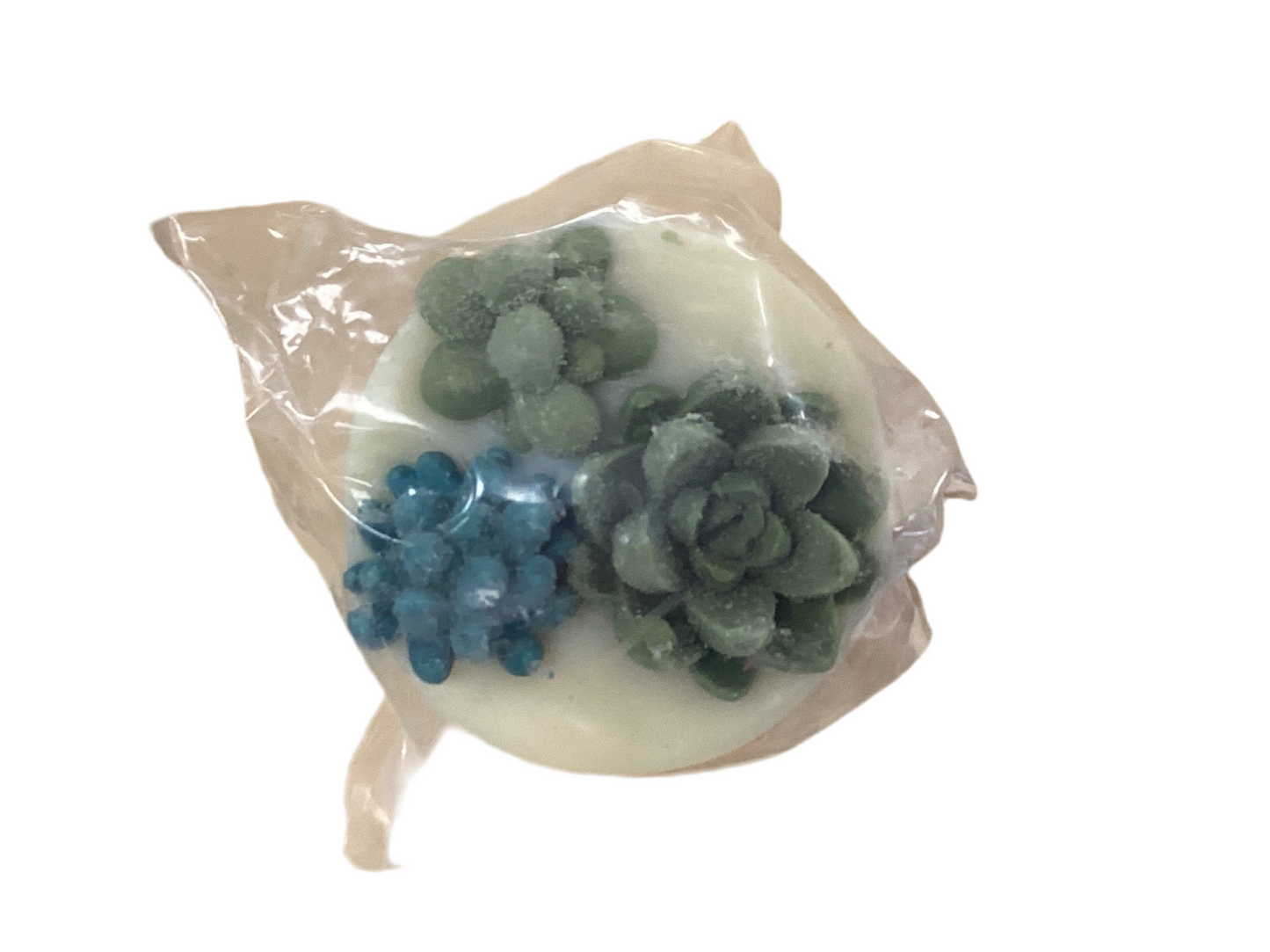 Succulent Soap Bar