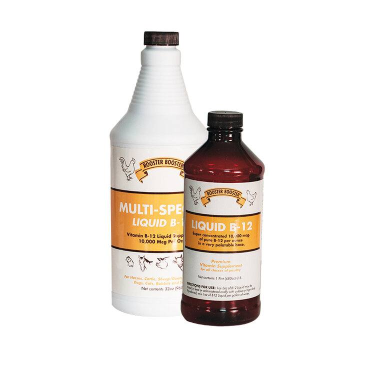 Rooster Booster Multi-Species Liquid B-12 Livestock Supplement 16oz