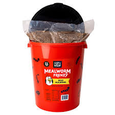 Mealworm Frenzy Bucket 11lbs