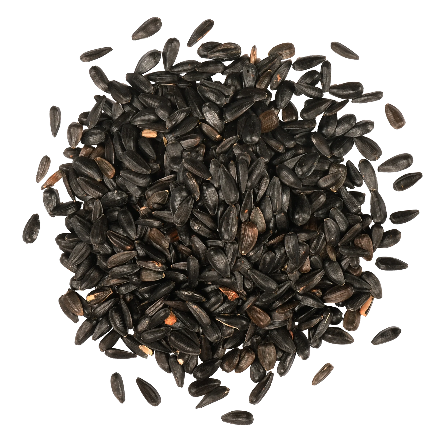 Black Oil Sunflower Seed 5lbs