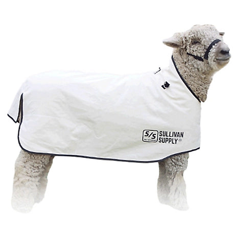 Canvas Sheep Blanket Xlarge Sullivan's