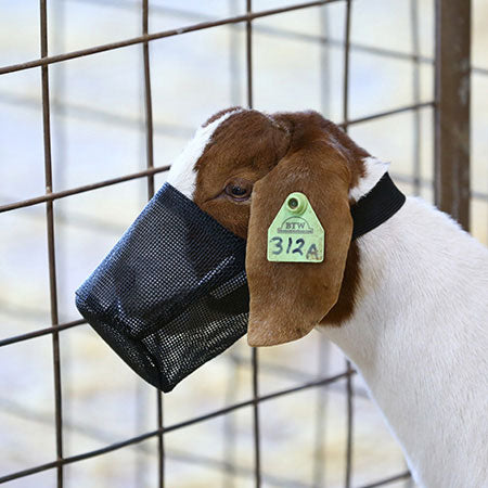 Muzzle lamb Black Mesh