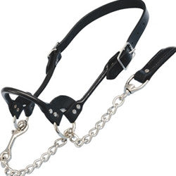 Halter Classic Rolled Nose Show Brown or Black Cattle