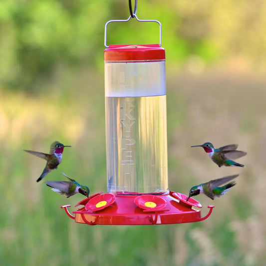 The Grand Master Hummingbird Feeder 48oz