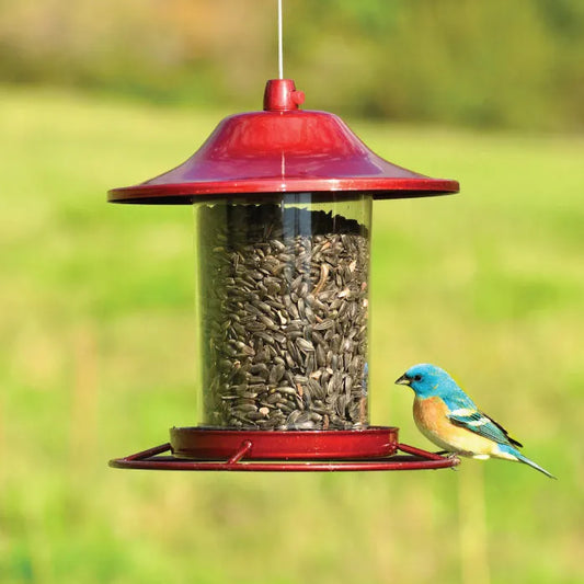 Red Sparkle Panorama Wild Bird Feeder