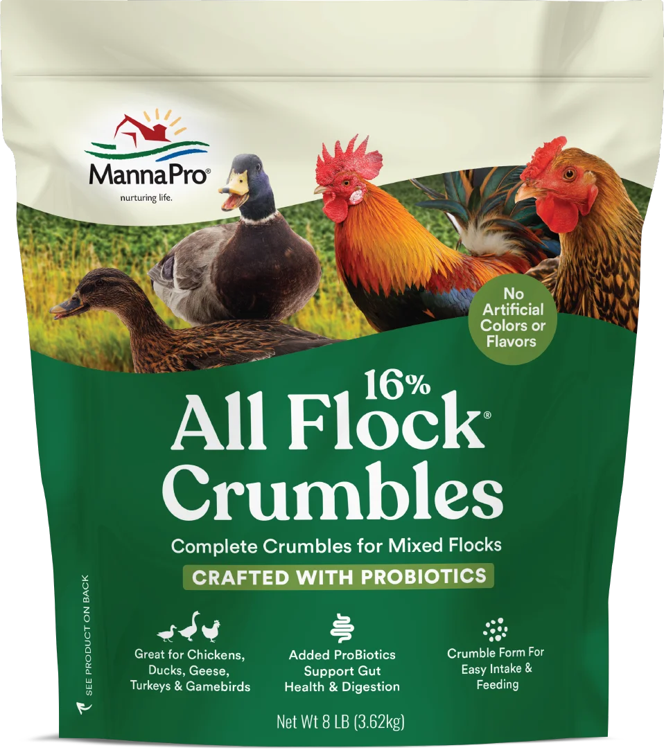 Manna Pro Poultry Feed: 16% All Flock Crumbles with ProBiotics