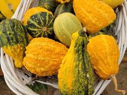 Small Gourds