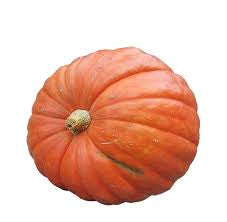 Jumbo pumpkin