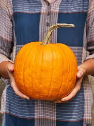 Large (big stem) pumpkin