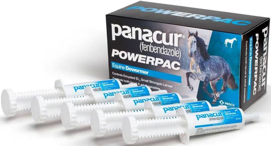 Panacur Paste Horse Wormer25gm PowerPac 5pk