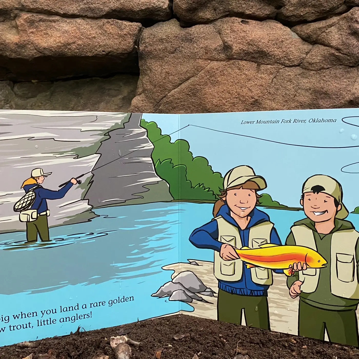 Match the Hatch Children's Book