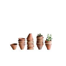 Terracotta Planter