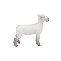 Toy Show Lamb "Big Beatty"
