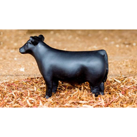 Toy Show Steer Black