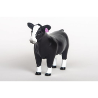 Toy Show Heifer Simmental