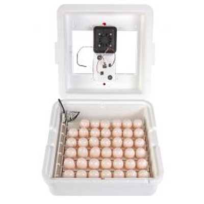 Incubator Circulated Air LG10500