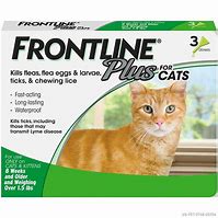 Frontline Plus for Cats over 1.51lbs
