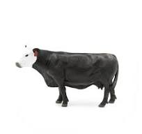 TOY BLACK/WHITE FACE COW