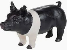 TOY HAMPSHIRE SHOWPIG