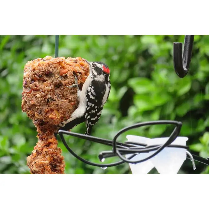 Flaming Hot Feast Cylinder