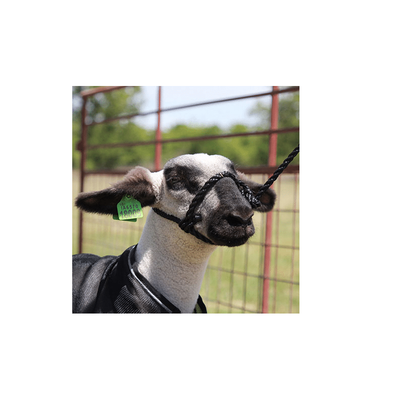 Halter, Adjustable Nylon Rope SHEEP
