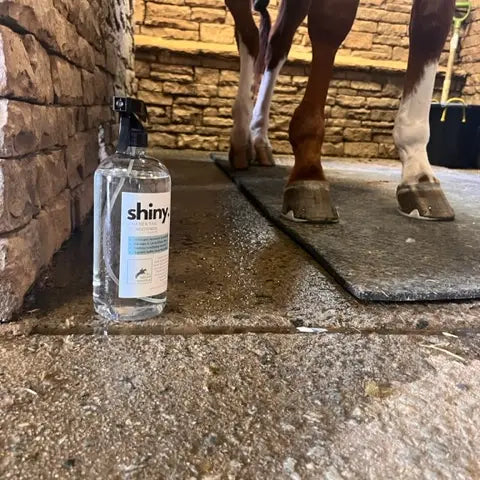 Shiny A Mane & Tail Conditioner 8oz