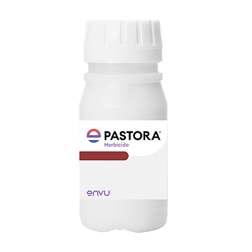 Pastora Herbcide by Envu 20oz.
