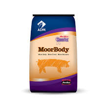Moorbody  Showtec 50lbs.