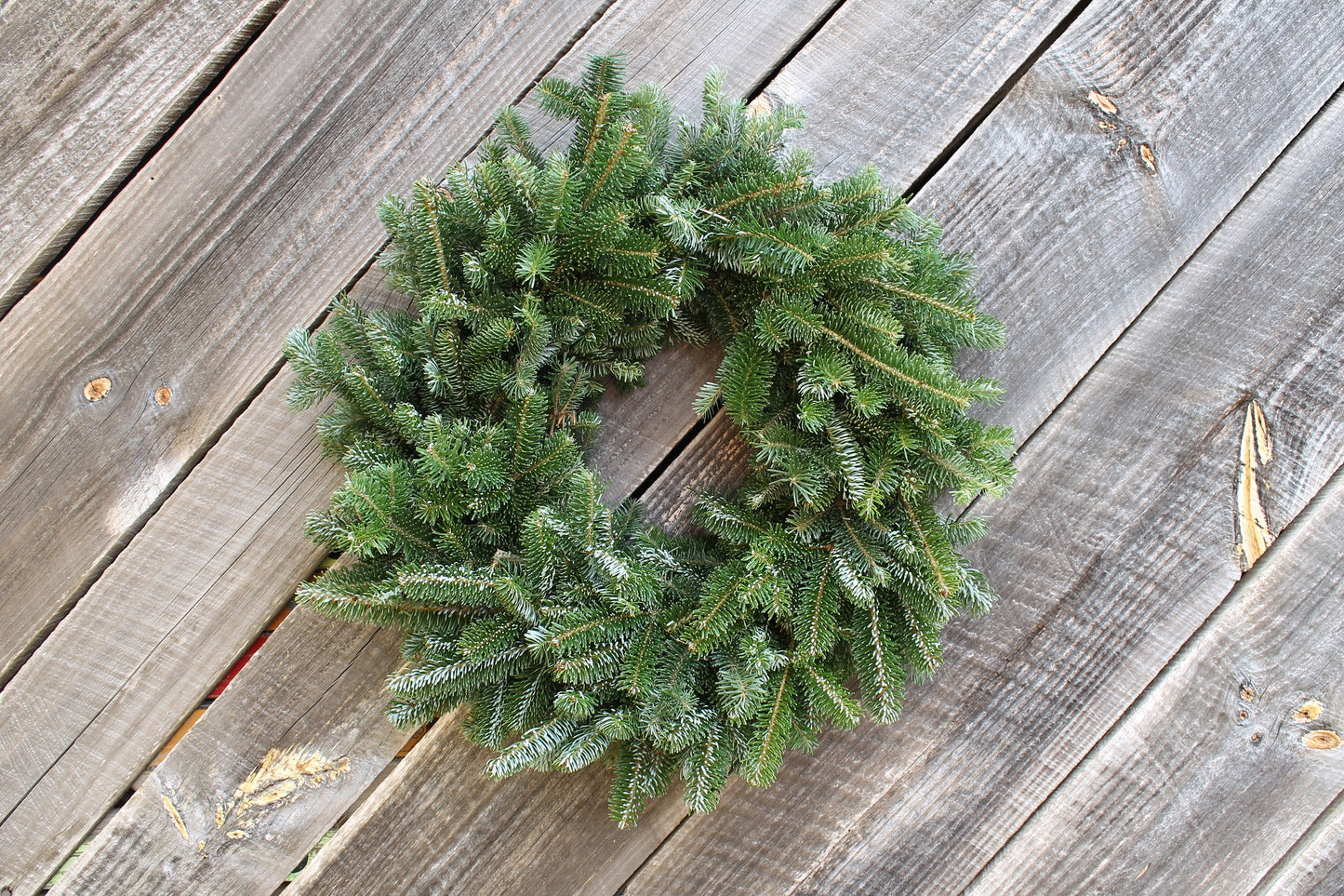 Christmas  Fresh Wreath 12-16inch