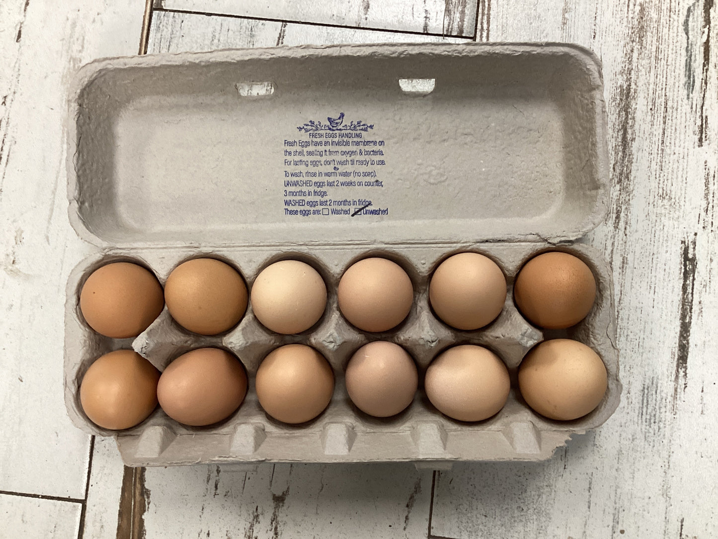 Fresh Eggs