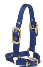 Sheep Halter Valhoma