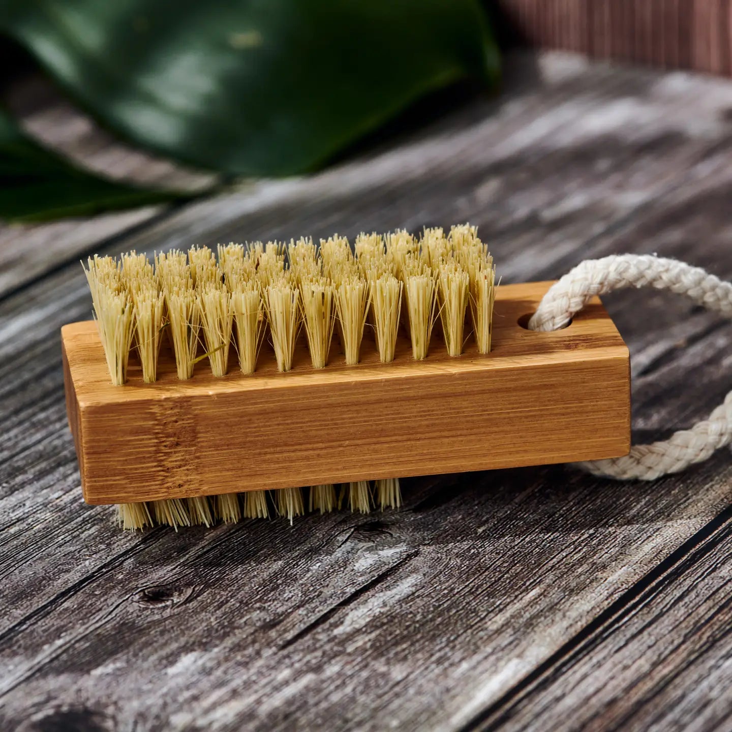 Wood Nail Brush (Plastic Free, Vegan, Unbranded, Unpackaged)