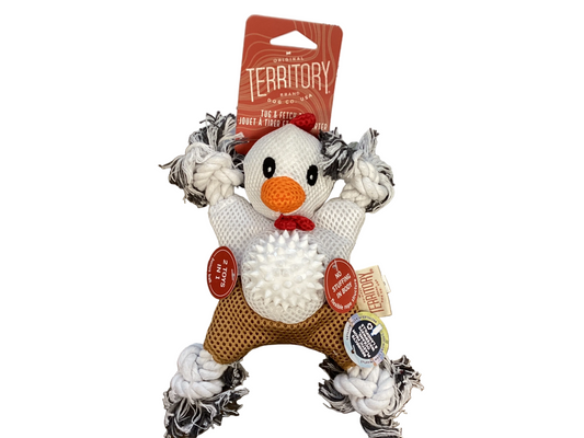 FARM & FRIEND 2-IN-1 TOY, Chicken