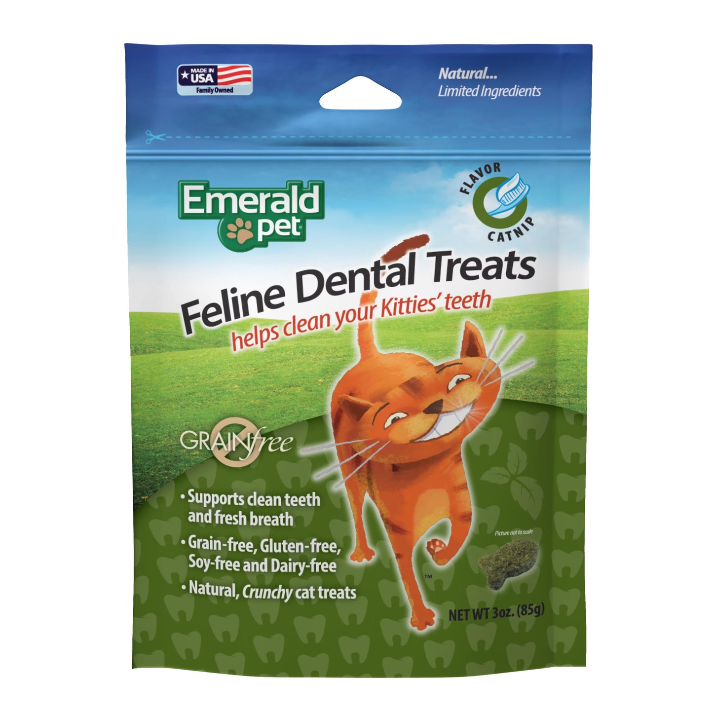 CAT DENTAL TREAT - CATNIP