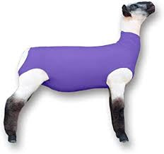 Sheep/Lamb Sox Spandex