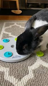 Rabbit Snack Board Trixie