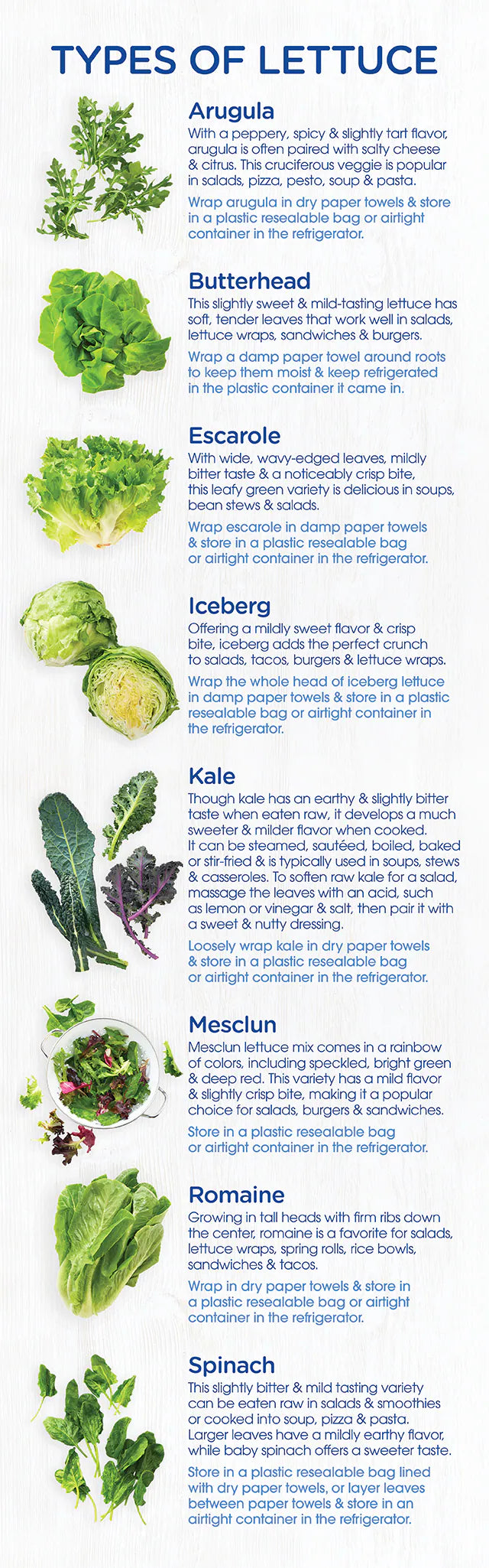 Produce Lettuce Head