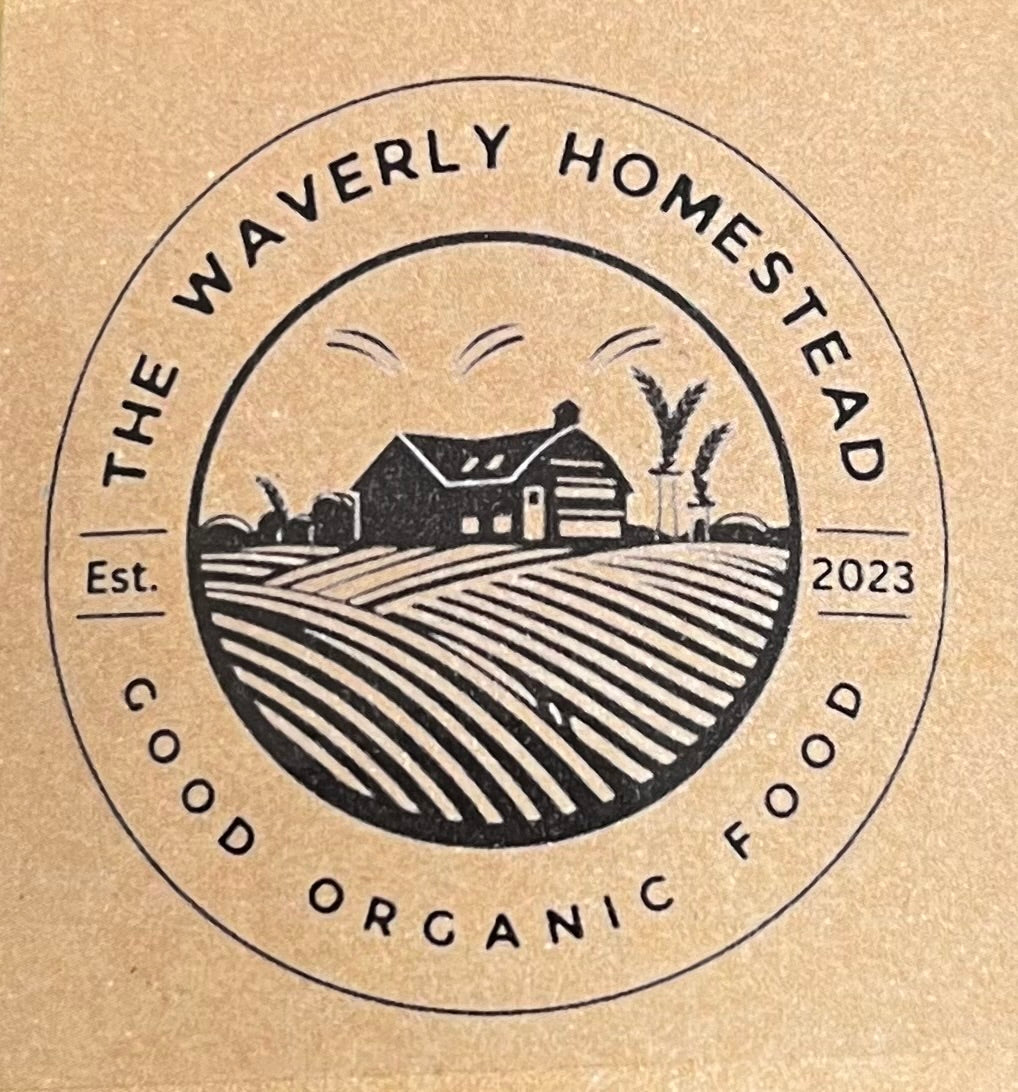 Chow Chow Organic