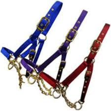 Cow Halter w/Chain